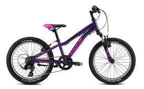Fuji lifestyle kids мод. rookie 16 girl a1-sl
